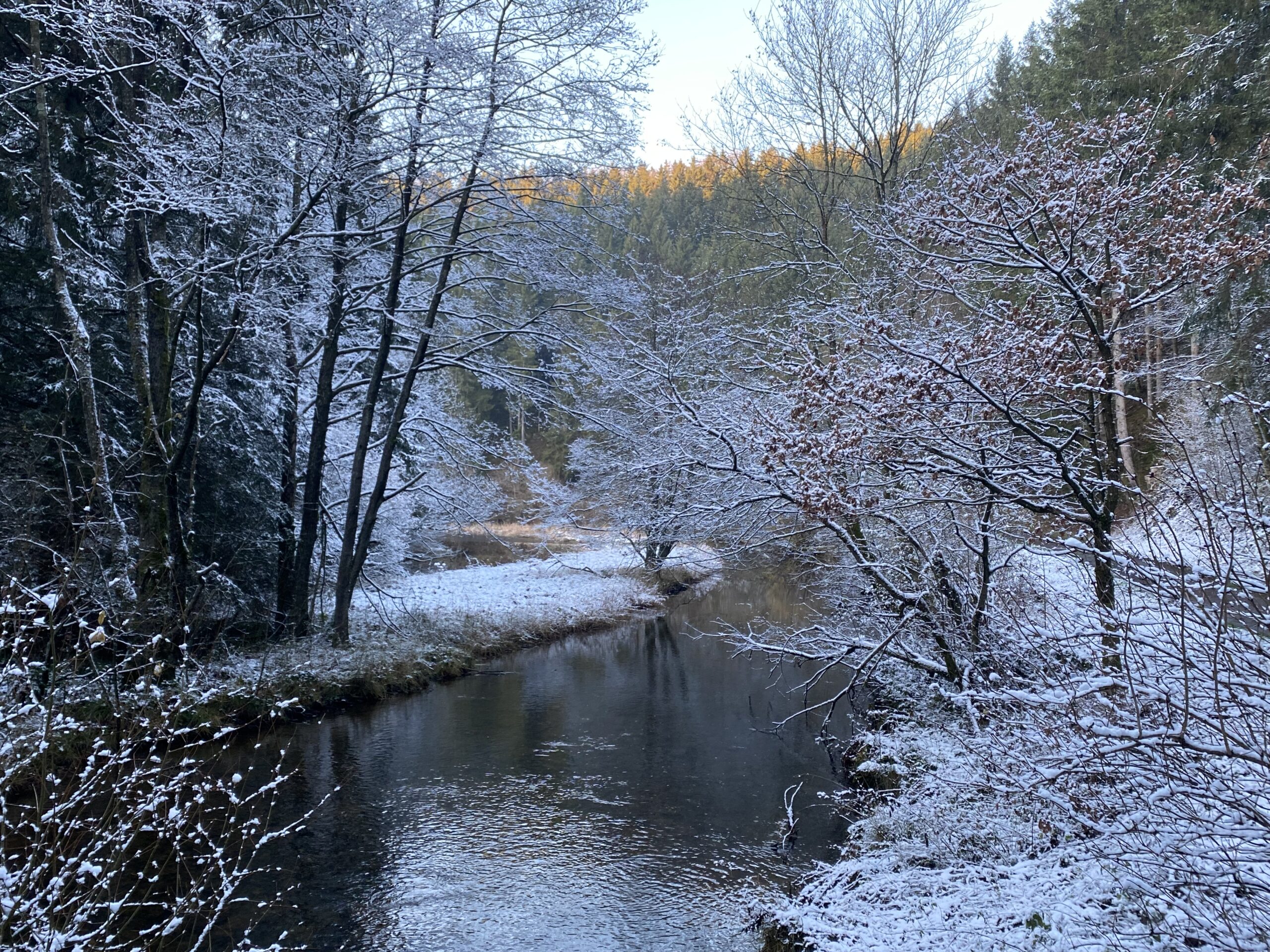 IMG_8756 Monschau-Wanderweg am Perlbach