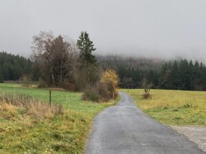 Wanderweg in den Wald in Monschau-Höfen
